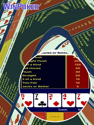 Winpoker 6 free